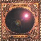 SPOCK'S BEARD — Beware of Darkness album cover