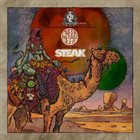 STEAK DesertFest Vol. 3 album cover