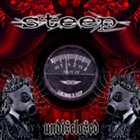 STEEP Undisclosed album cover