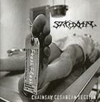 STICKOXYDAL Chainsaw Cesarean Section album cover