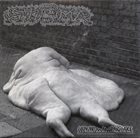 STOMA 138 Minutes Body Disposal / Gory Human Pancake album cover