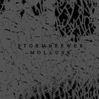 STORMBREWER Mollusk / Stormbrewer album cover