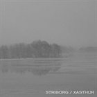 STRIBORG Striborg / Xasthur album cover