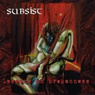 SUBSIST Lessons In Brokenness album cover