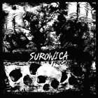 SUROWICA Prochy album cover