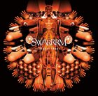 SWARRRM 20 Year Chaos album cover