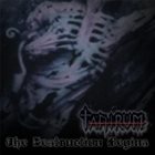 TANTRUM The Destruction Begins album cover
