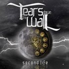 TEARS DOWN THE WALL Second Life album cover
