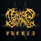 TEMORES ENTERRADOS Fuerza album cover