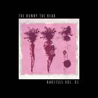 THE BUNNY THE BEAR Rarities Vol. 01 album cover