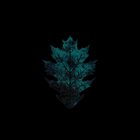 THE GREEN LEAVES Deforestation album cover