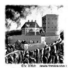 THE WITCH Záhada Třemošná Witch 3 album cover