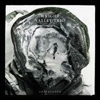 THE WRIGHT VALLEY TRIO Shackleton album cover