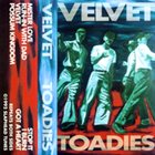 TOADIES Velvet album cover