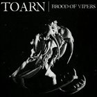 TOARN Brood Of Vipers album cover