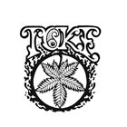 TOKE (NC) Toke album cover