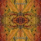 TORRENTIAL DOWNPOUR The Phaneron album cover