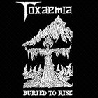 TOXAEMIA Burried to Rise: 1990 - 1991 Discography album cover