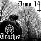 TRACHEA DP album cover