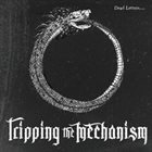 TRIPPING THE MECHANISM Dead Letters album cover
