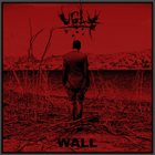 UGLY (AZ) Wall (2020) album cover