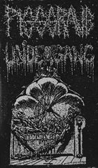UNDERGANG Tour Split Tape album cover