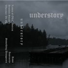 UNDERSTORY Understory album cover
