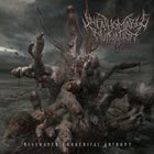 UNFATHOMABLE RUINATION Misshapen Congenital Entropy album cover