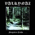 VALKYNAZ Forgotten Paths. . . . album cover