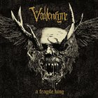 VALLENFYRE A Fragile King album cover