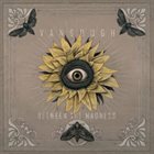 VANGOUGH — Between The Madness album cover