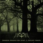VATTNET VISKAR Demo 2011 album cover