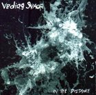 VEDIOG SVAOR In the Distance album cover