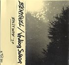 VEDIOG SVAOR Sentinel / Vediog Svaor album cover
