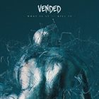 VENDED What Is It//Kill It album cover