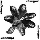VINEGAR Vinegar album cover