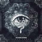 VO'DEVIL STOKES Black Snake album cover