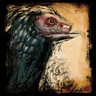 VULTURES AT ARMS REACH дикари album cover