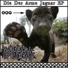 WASTING TIME BY TELLING WHY Die Der Arme Jaguar album cover