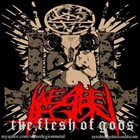 WE ARE LEGION The Flesh Of Gods album cover