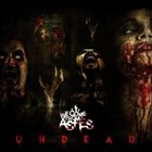 WE COME FROM ASHES Undead album cover