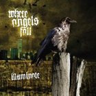 WHERE ANGELS FALL Illuminate album cover