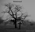 WINTERSAD ...in My Last Dreams album cover