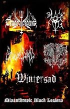 WINTERSAD Misanthropic Black Legions album cover