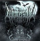 WINTERSOUL Dawn Of Ice Hearts album cover