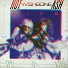 WISHBONE ASH Hot Ash album cover
