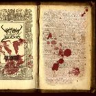 WITH INK INSTEAD OF BLOOD The Novelist album cover