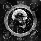 WVRM Swarm Sound album cover