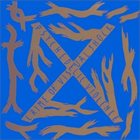 X JAPAN Blue Blood album cover