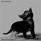 XHAROLDSHITMANX A Mess of Contradictions album cover